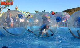 zorb ball deserves love of people